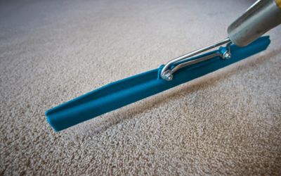 Carpt Grooming For A Uniform Appearance Process Step
