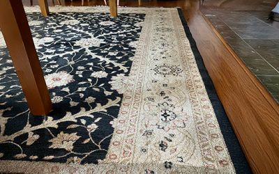 Deep Clean Area Rug Process Step Image