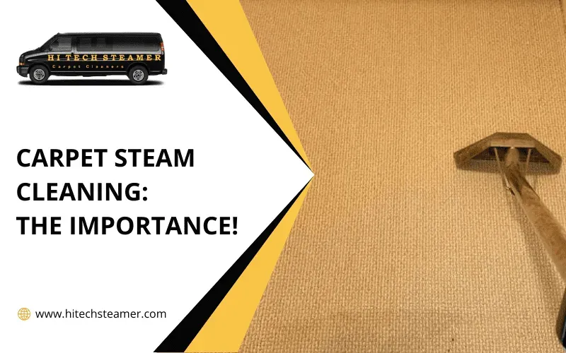 Carpet Steam Cleaning The Importance