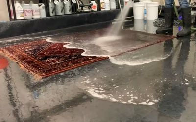 Surface Cleaning Area Rug Process Step Image