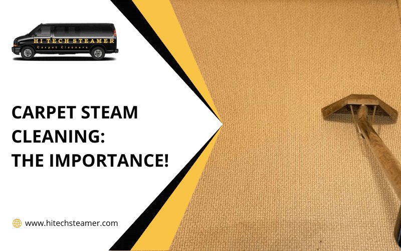 Carpet Steam Cleaning_ _The Importance!