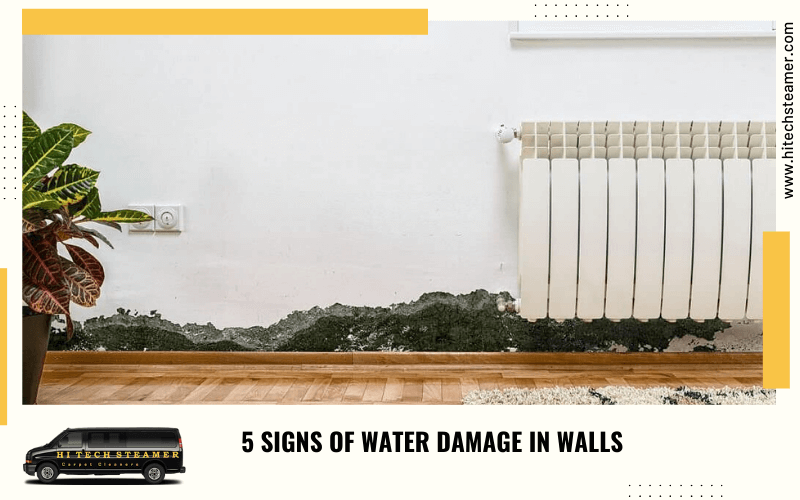 5 Signs Of Water Damage In Walls
