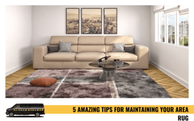 5 Amazing Tips For Maintaining Your Area Rug