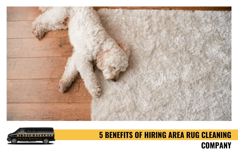 5 Benefits of Hiring Area Rug Cleaning Company