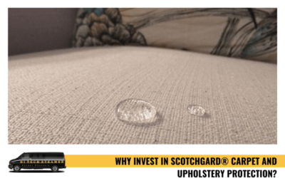 Why Invest In Scotchgard® Carpet And Upholstery Protection?