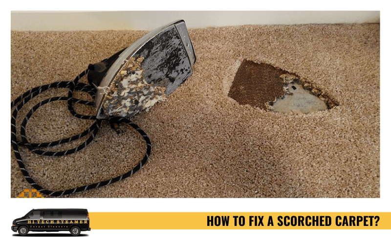 How to Fix A Scorched Carpet