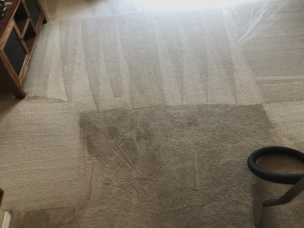 Top View Of A Room Carpet Showing A Major Difference After Being Cleaned With A Carpet Cleaning Machine