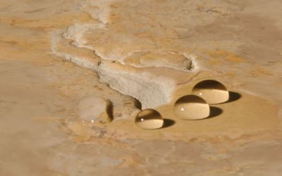 Natural Stone Sealing Process Step Image