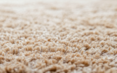 Close Up Of Carpet Fibers