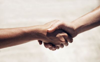 Handshake Agreement Service Consultation